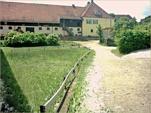 zur�ck zur Auswahl