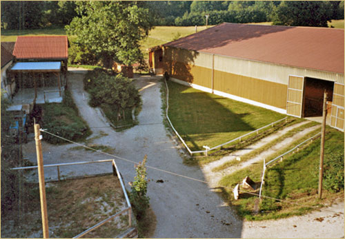 zur�ck zur Auswahl