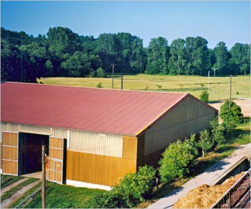 zur�ck zur Auswahl