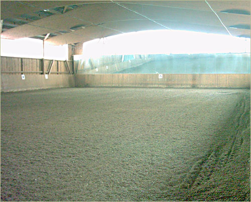 zur�ck zur Auswahl