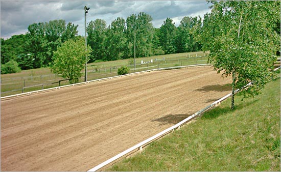 zur�ck zur Auswahl