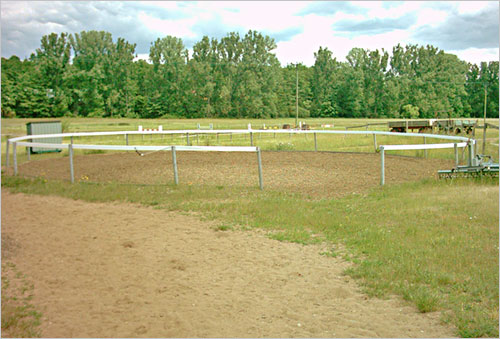 zur�ck zur Auswahl
