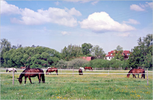 zur�ck zur Auswahl