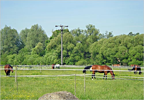 zur�ck zur Auswahl