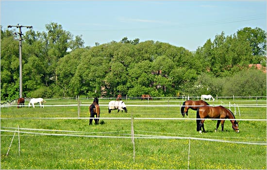 zur�ck zur Auswahl