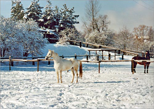 zur�ck zur Auswahl